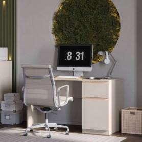 Secretária 1 Porta + 1 Gaveta Frida